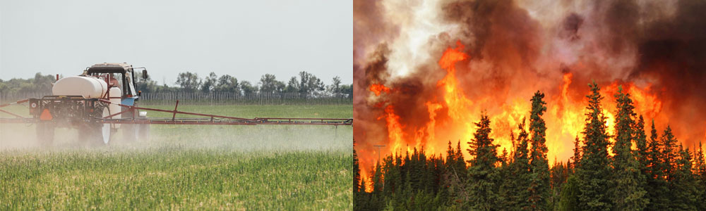 failed water systems: pesticides and forest fires